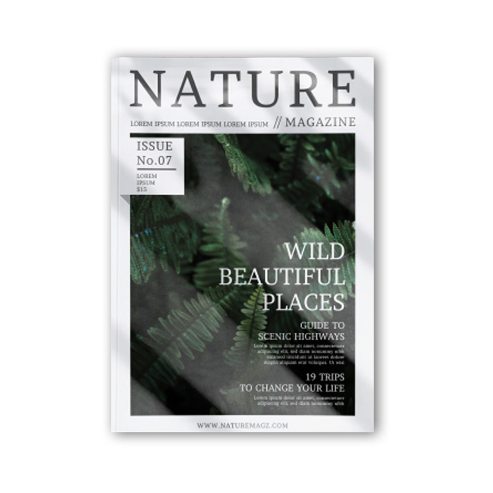 Clarissa by Samuel Richardson